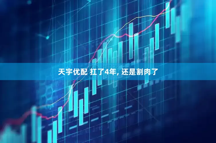 天宇优配 扛了4年, 还是割肉了